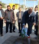 کاشت نهال به مناسبت روز هوای پاک در شهرستان نرماشیر